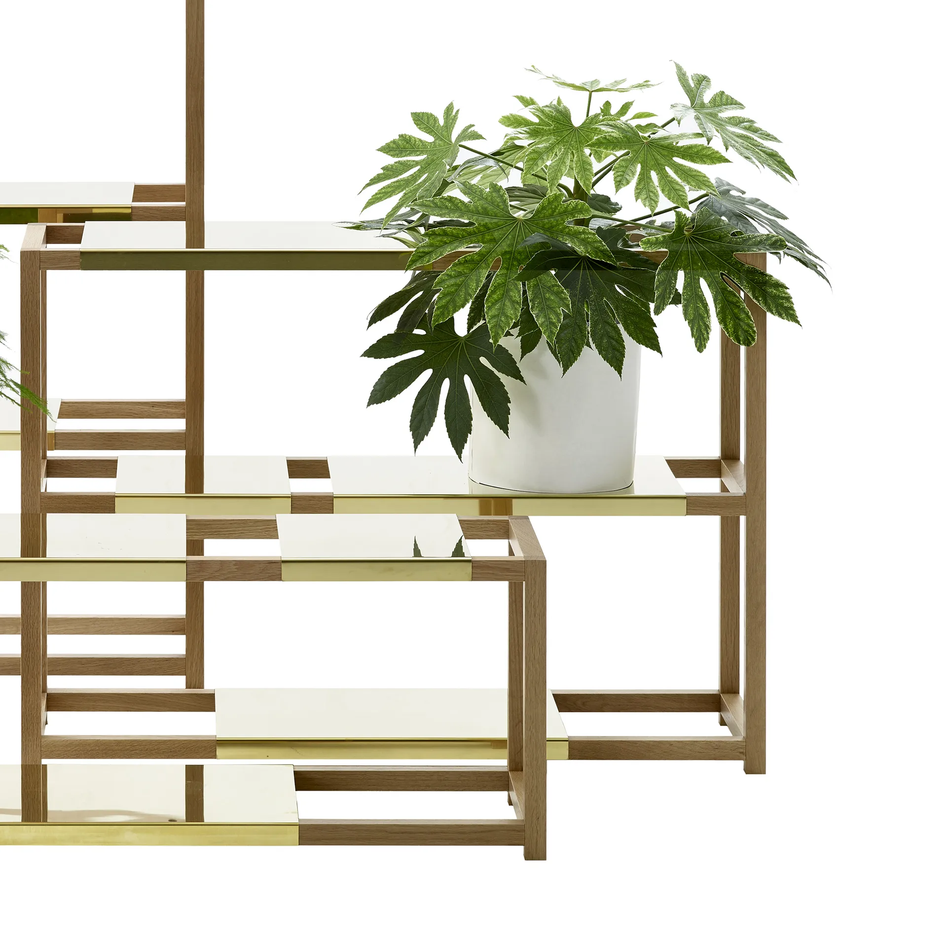 The Botanic Shelf Medium hylla, ek svartbetsad, svarta metallhyllor Adea