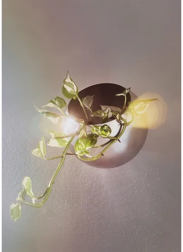 Globe kruka vägg Ø17 cm - Silver - AYTM