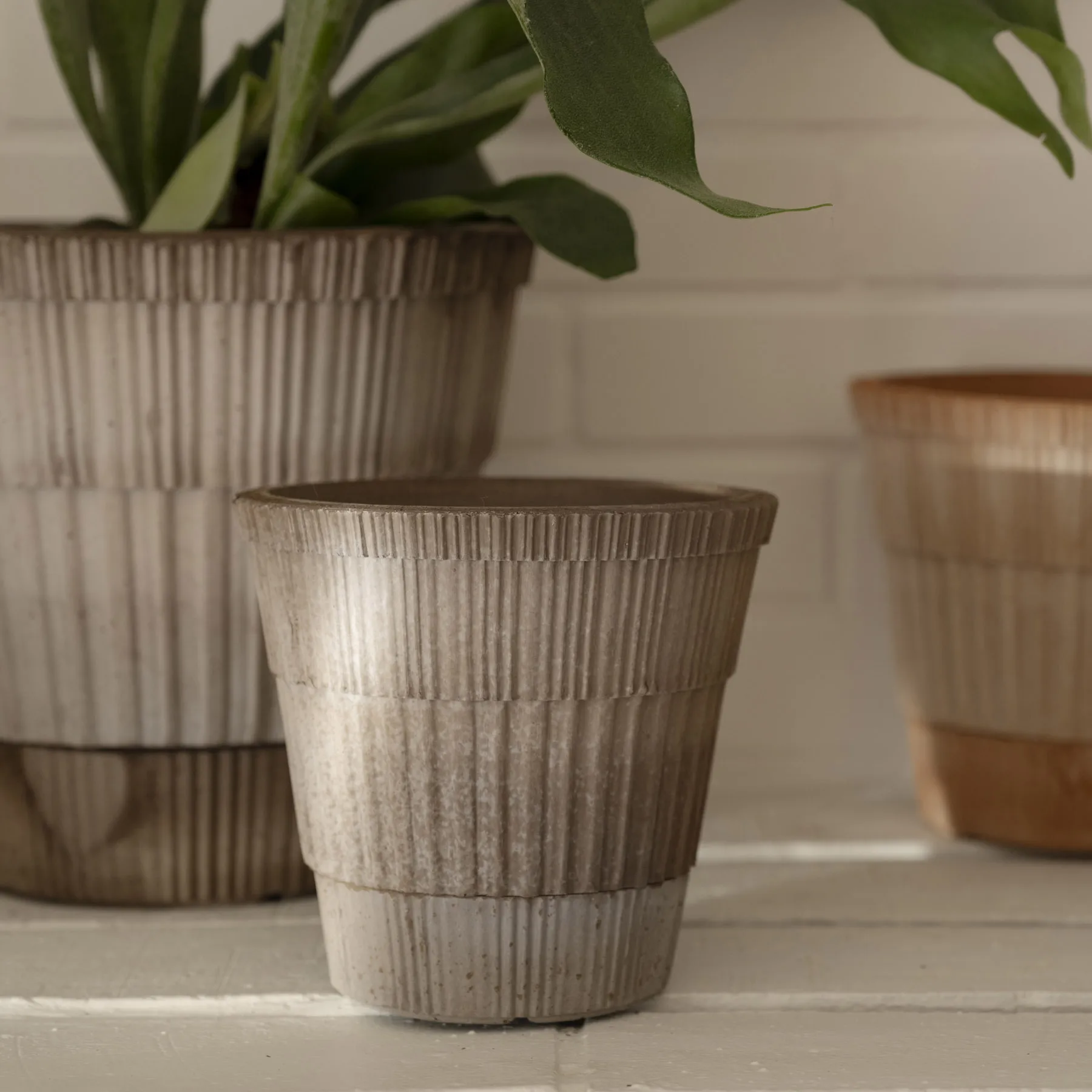 Atlas raw kruka med fat, Grey, Ø14 cm Bergs Potter