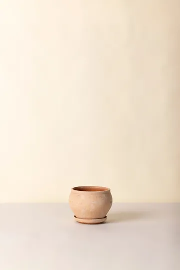 Delphi kruka med fat 2 delar - Rosa, Ø24 cm, low - Bergs Potter
