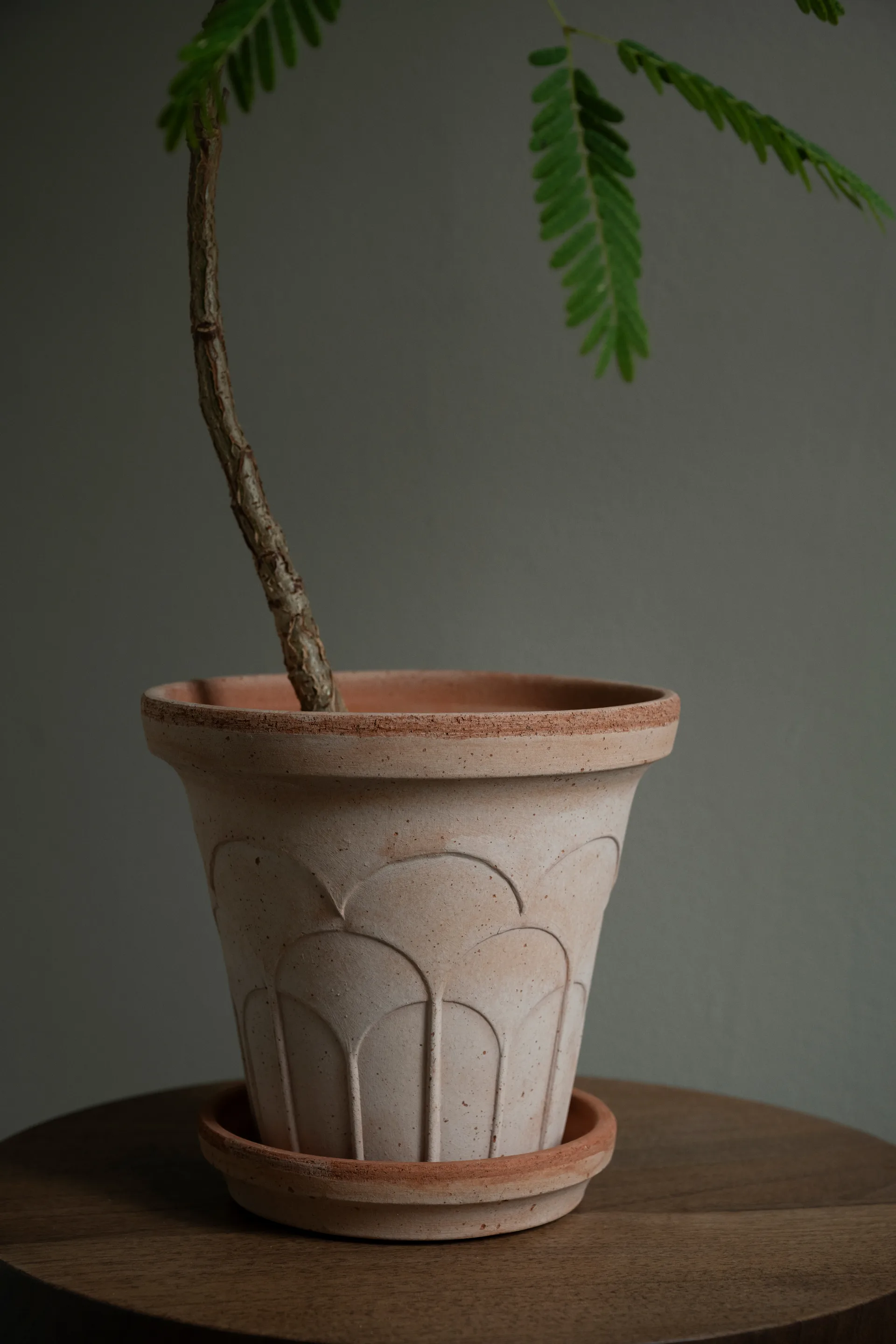 Fleur kruka med fat 2 delar, Rosa, Ø16 cm Bergs Potter