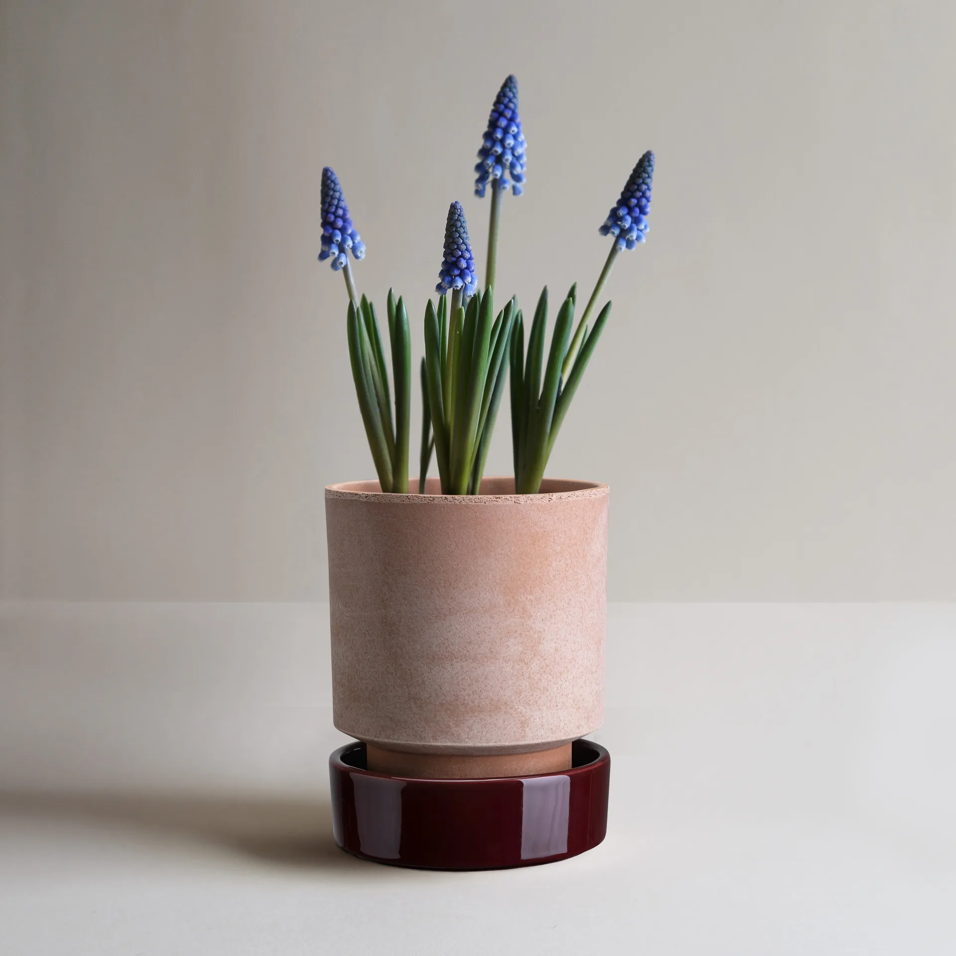 Hoff kruka, Ø16 cm, Raw Rosa-Deep Burgundy  (rosa-röd) Bergs Potter