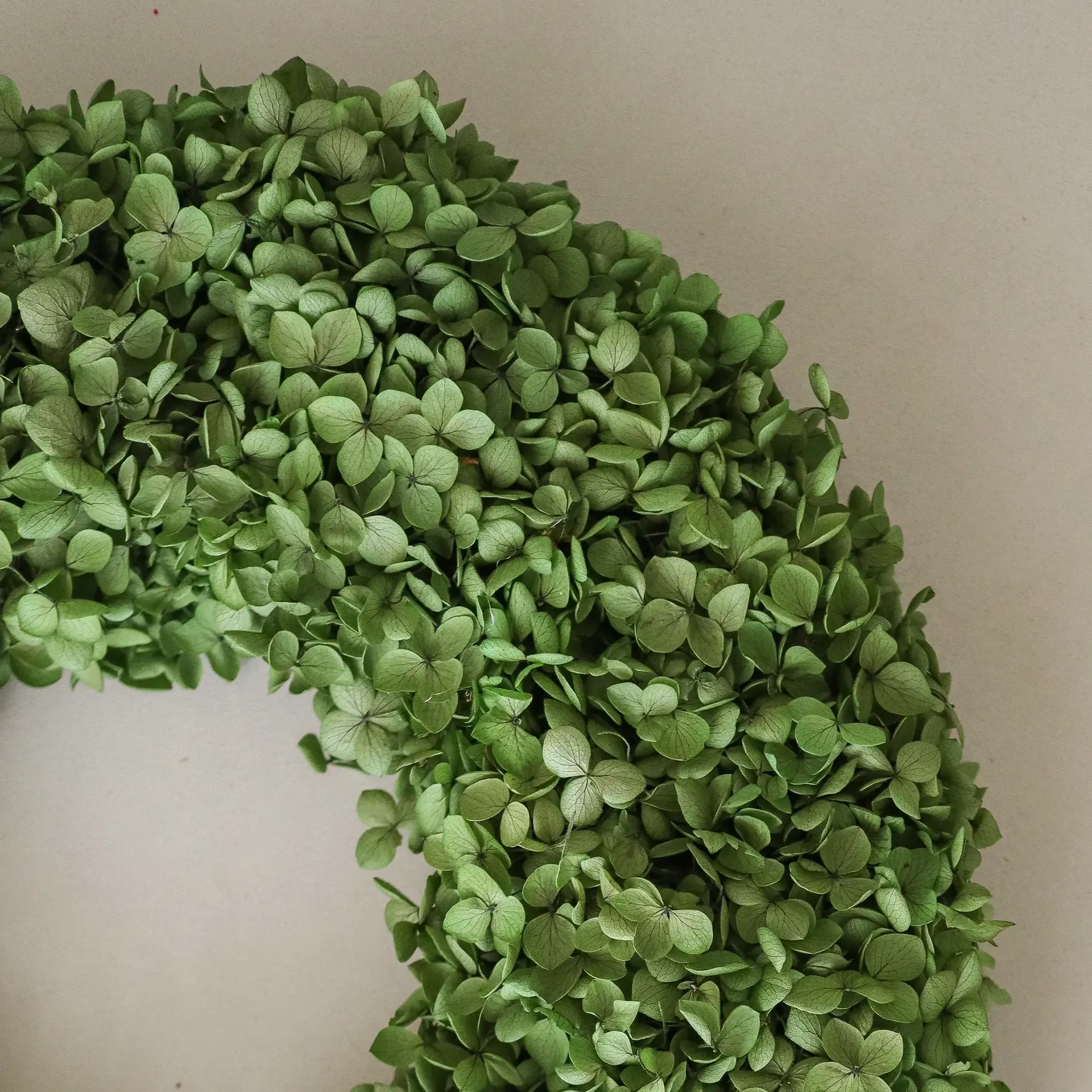 Hortensia Wreath blomkrans, Green, Ø40 cm Botané