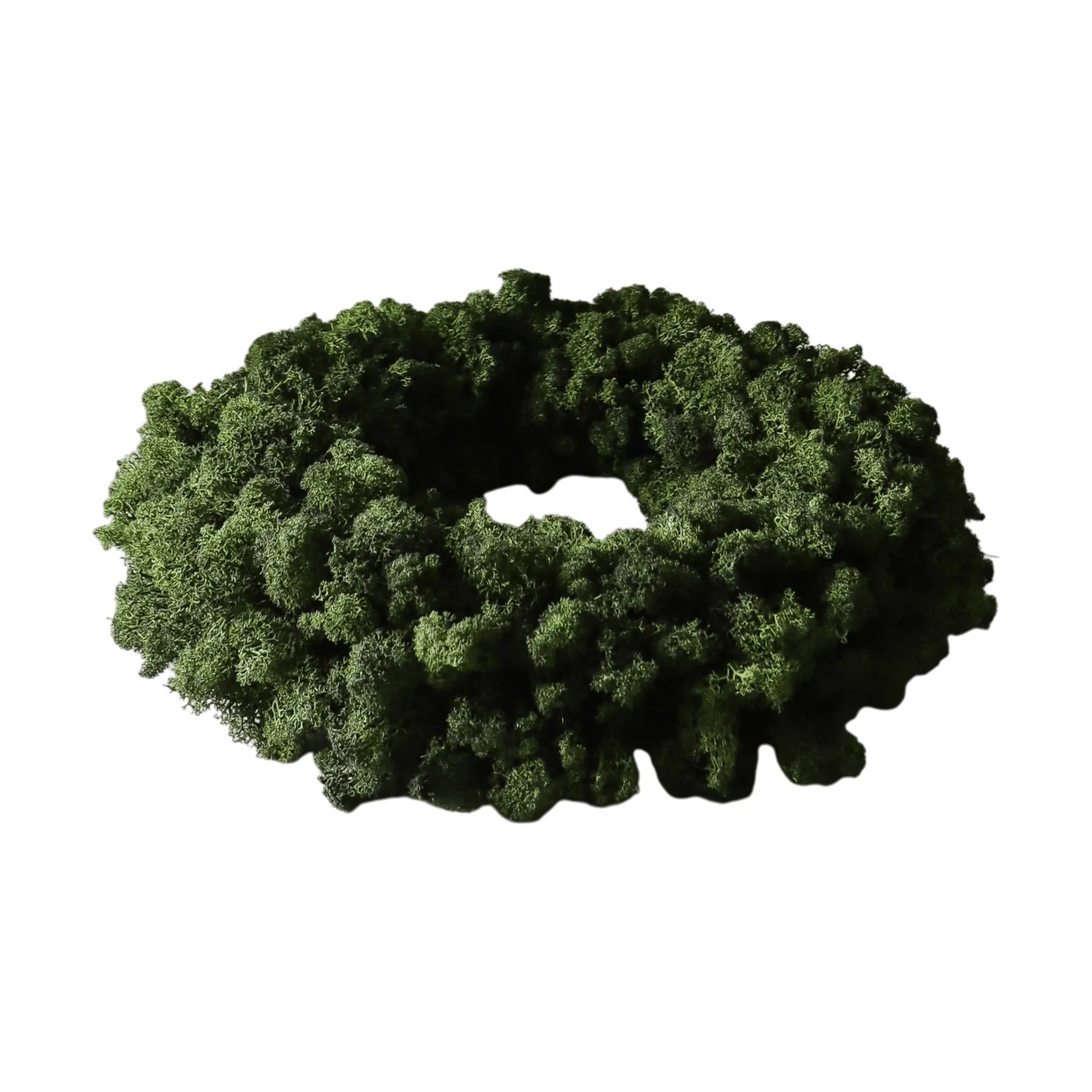 Moss Wreath mosskrans, Green, Ø40 cm Botané