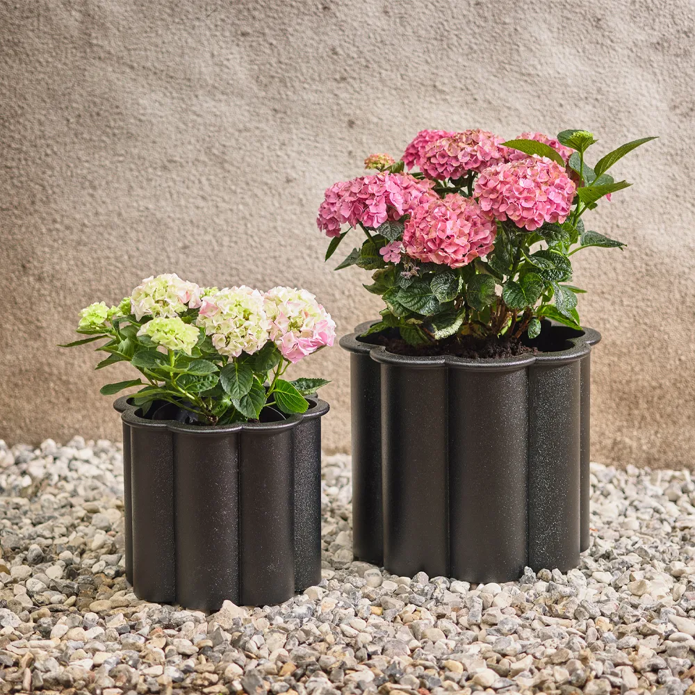 Gråsippa kruka, Svart, no. 1 Ø33 cm Byarums bruk