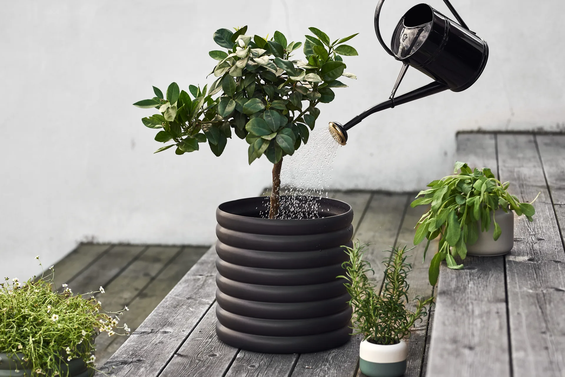 Mud kruka svart, XL Ø27 cm DBKD