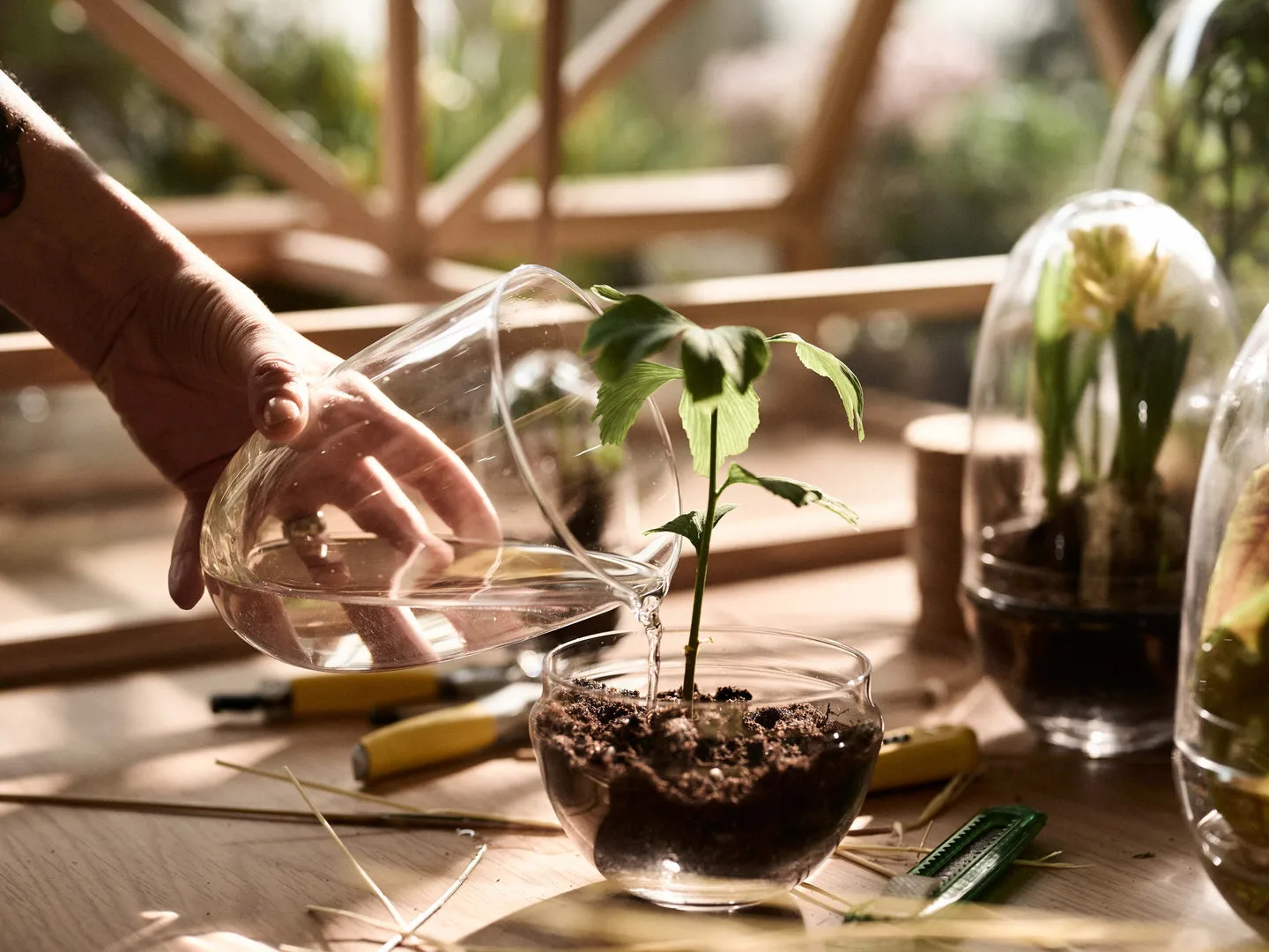 Grow odlingskupa, small Ø8 cm Design House Stockholm