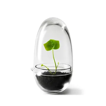 Grow odlingskupa - small Ø8 cm - Design House Stockholm