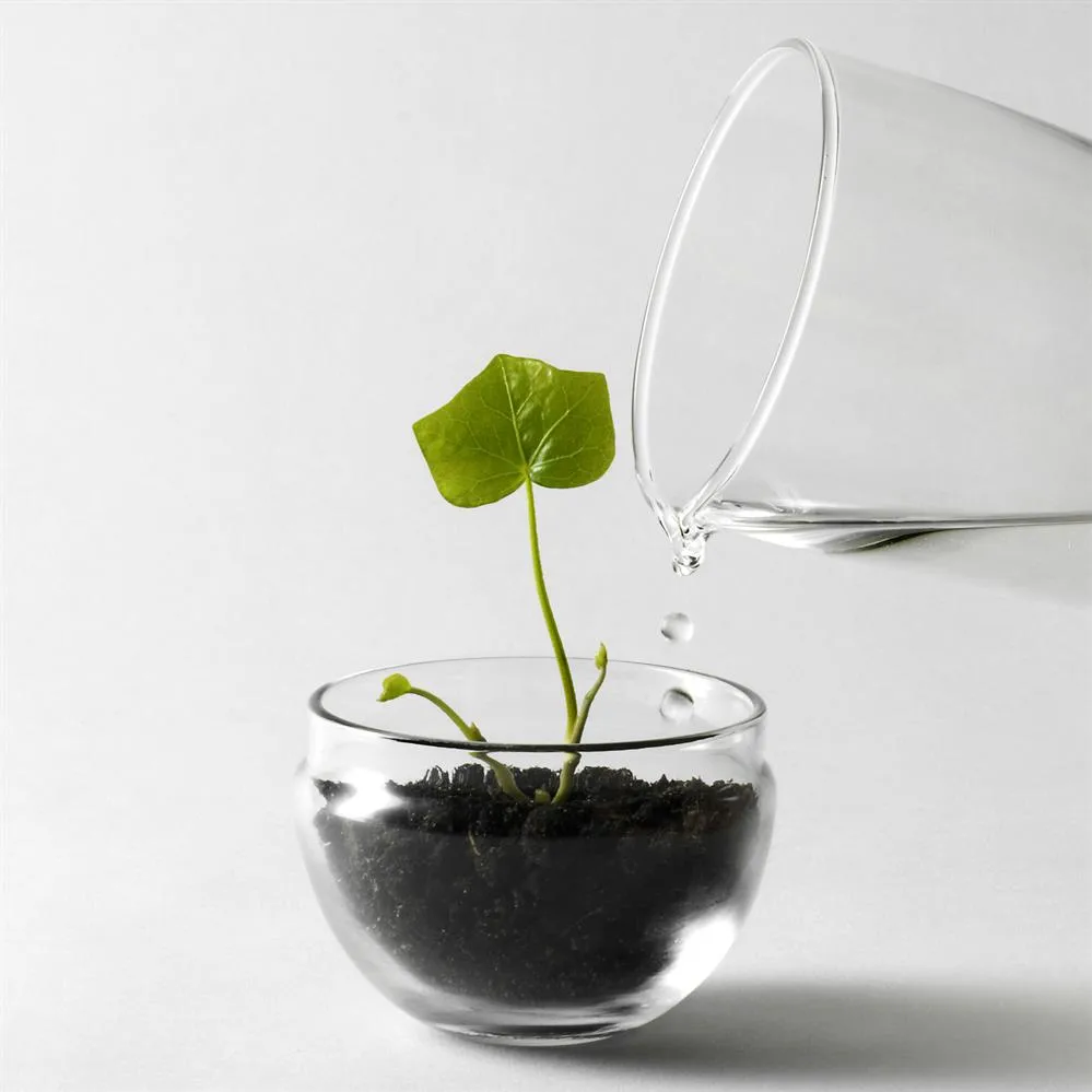 Grow odlingskupa, small Ø8 cm Design House Stockholm