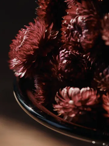 Damo glass centerpiece fat Ø21 cm - Dark Grape - Ferm Living