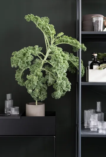 Ferm Living plant box - Black (svart) - Ferm Living