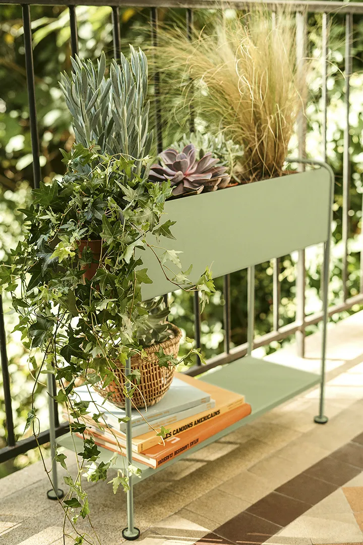 Picolino plant holder h.63 cm, Cactus (grön) Fermob