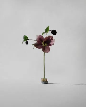 Kenzan vas - Ø2,3 cm - Hein Studio