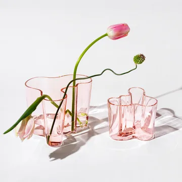 Alvar Aalto vas laxrosa - 160 mm - Iittala
