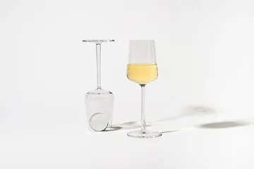 Essence glasset 24 delar - Iittala