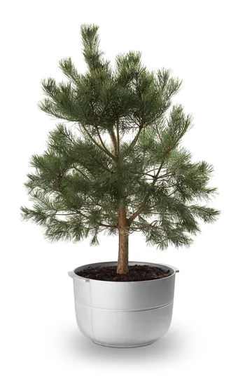 Linea kruka nr 2 medium - Aluminium - KORBO