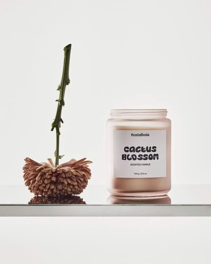 Mind doftljus, Cactus Blossom, 550 g Kosta Boda
