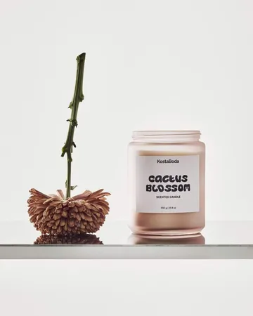 Mind doftljus - Cactus Blossom, 550 g - Kosta Boda