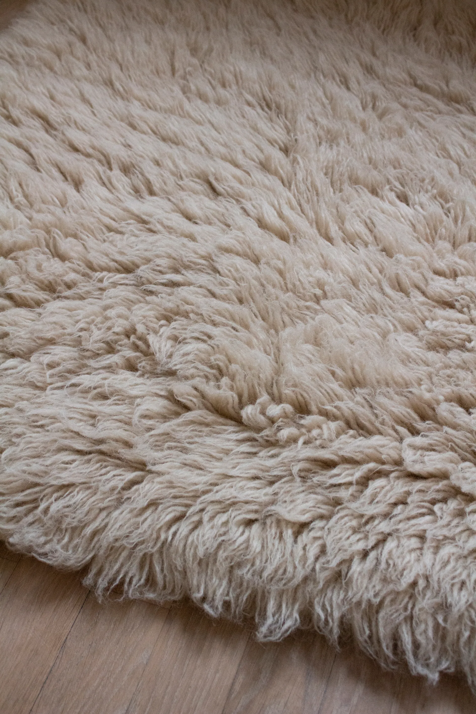 Shaggy matta 250x350 cm, Oatmeal Layered