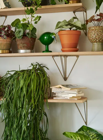 Pythagoras Shelf hyllplan - ek - Maze