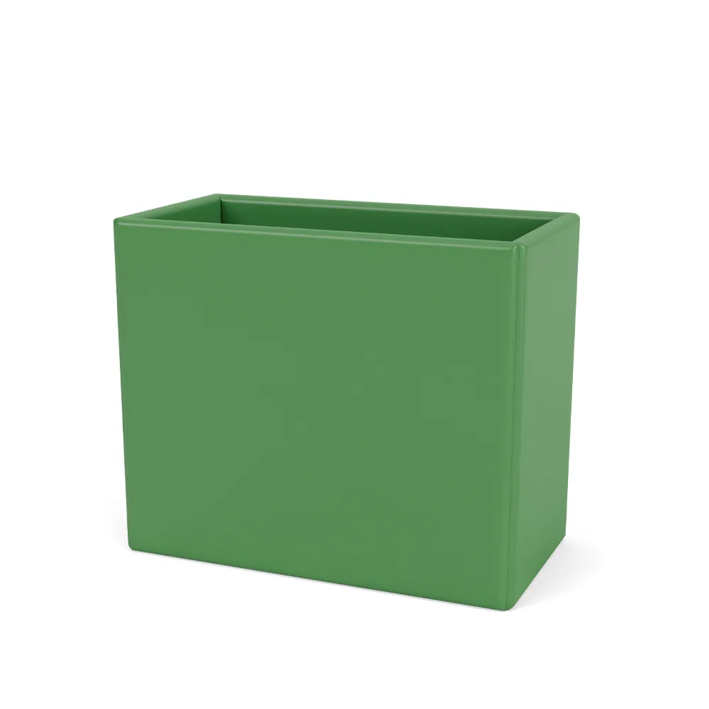 Collect Organizer, parsley 152 Montana
