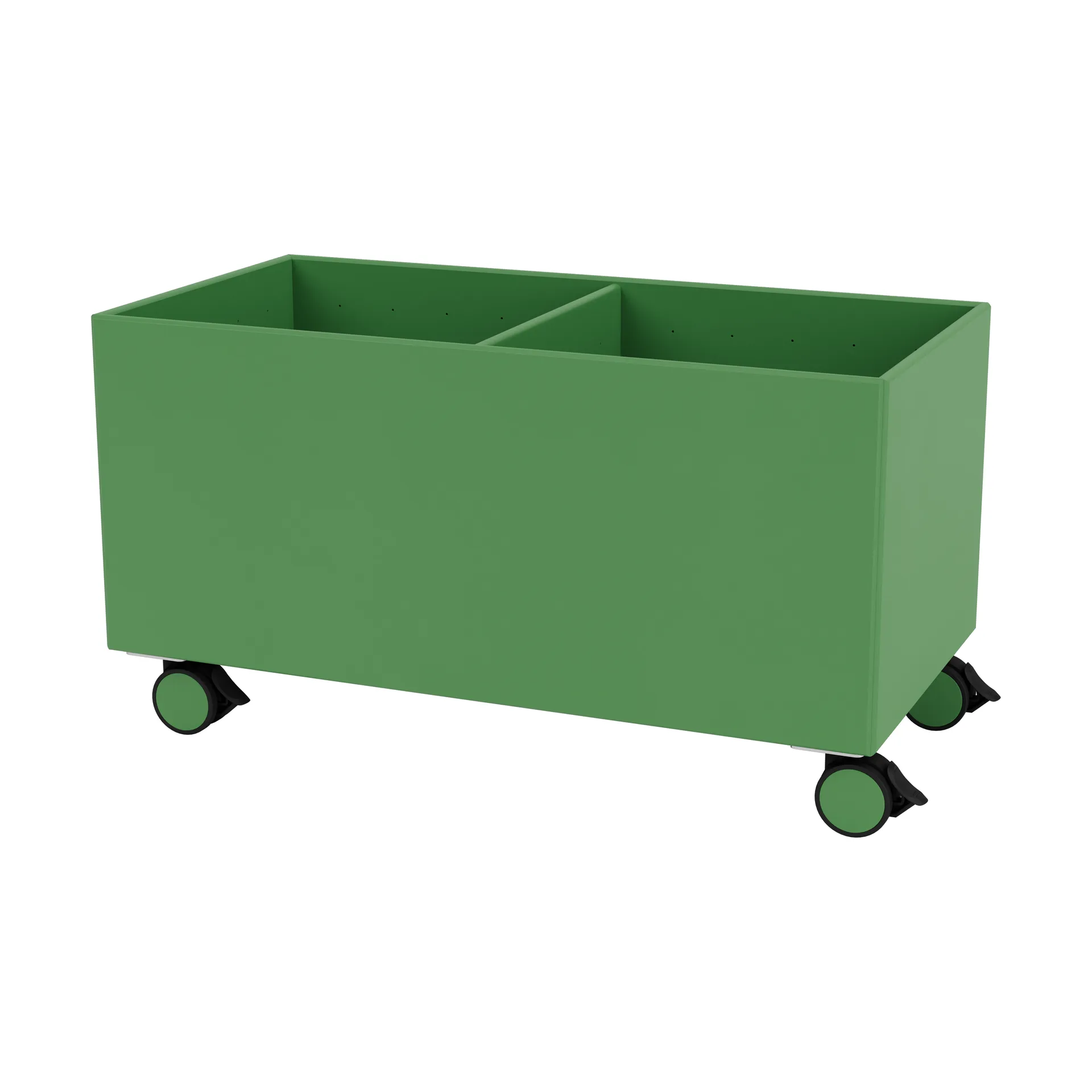 Colour Box III, Parsley Montana
