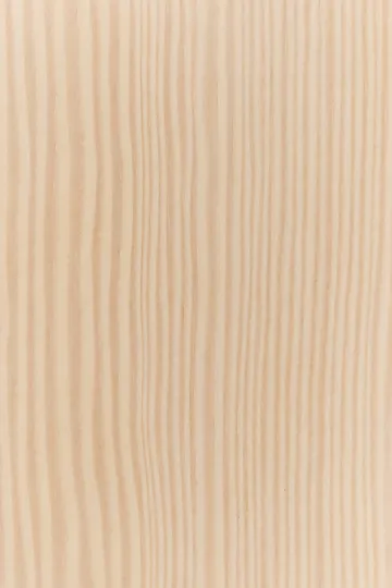 Tree wall rockhängare Special Edition 194 cm - Vitpigmenterad furu - Swedese
