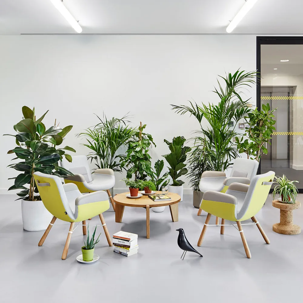 Guéridon bas soffbord, Dark oak Vitra