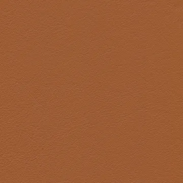 Heart Cone Chair fåtölj - Leather premium F cognac-rostfritt stål - Vitra