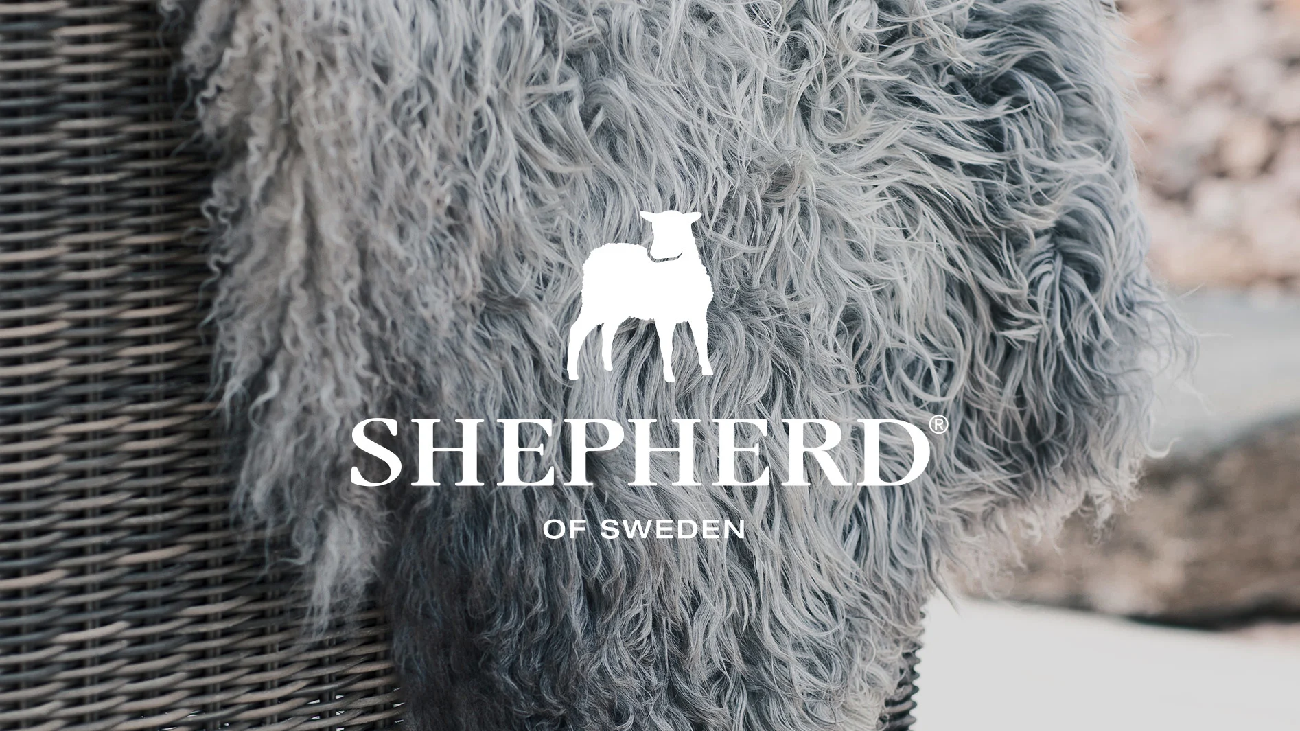 Shepherd of Sweden-logotyp med en vit fårsiluett på en grå, fluffig textil över en flätad stol.